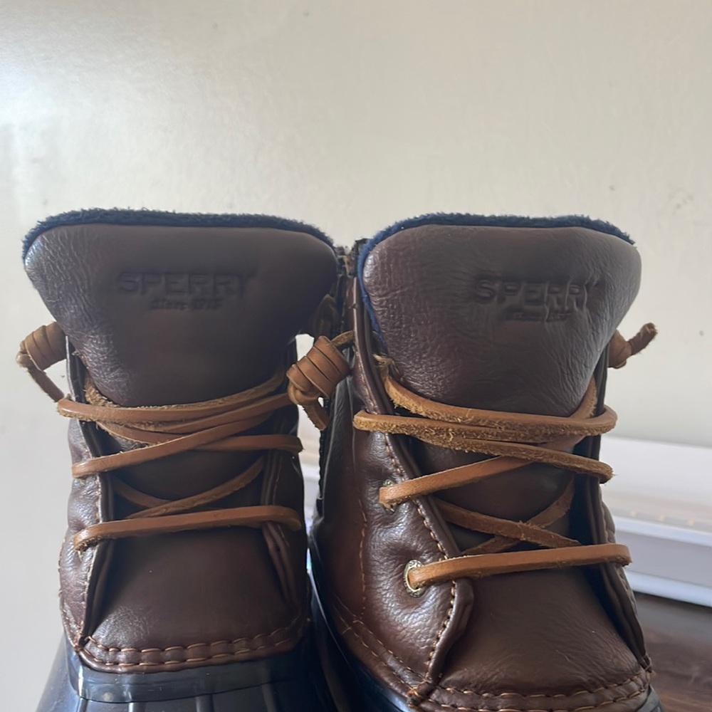 sperry shoes